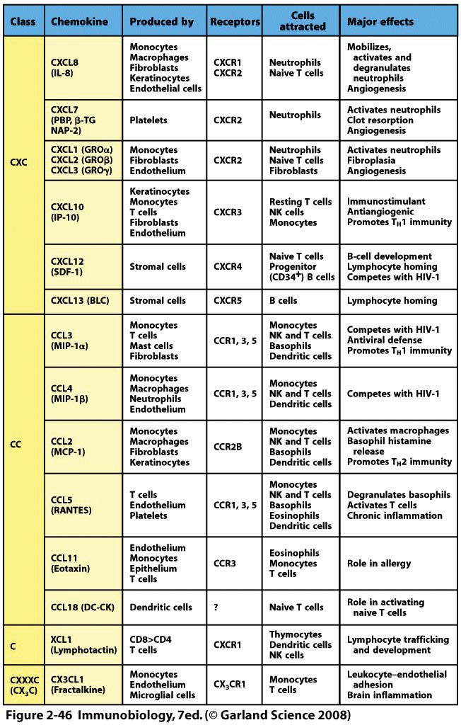 CHEMOKINY