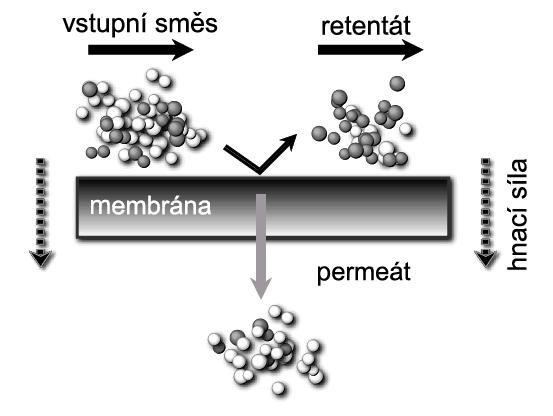 Schema