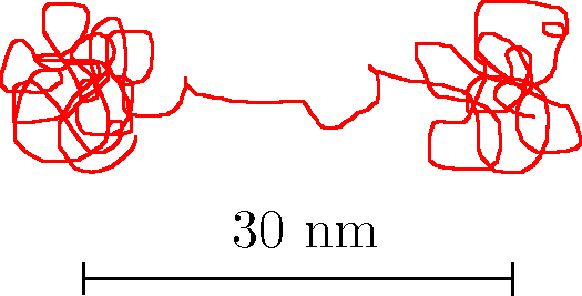 Střední volná dráha je několikrát větší než velikost póru, převládajícím mechanismem bude Knudsenova difuze 3. (10 bodů) Polymer se skládá ze dvou globulí stejné velikosti 30 4 nm od sebe.