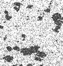 houževnatosti těchto speciálních materiálů. 1-základna, 2-prstenec, 3-hrot, 4-kulička ZrO 2 ф 3 mm Obr.10 Výsledky indentačního měření tvrdosti a modulu pružnosti vzorku W70HfC30-BELT Fig.