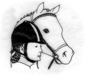 PRAVIDLA PRO SOUTĚŽE PONY ( 8. vydání FEI/ 2006) Toto vydání pravidel je platné jako pravidla jezdeckého sportu České jezdecké federace od 1. dubna 2008.