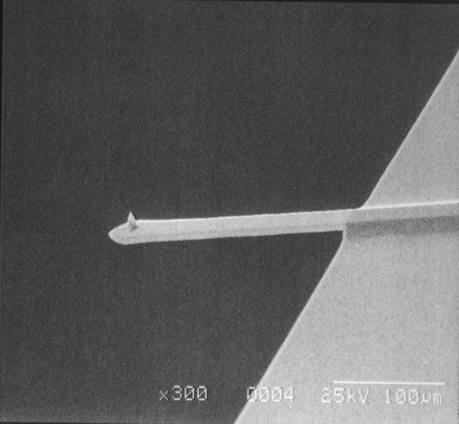 Schéma detekce v bezkontaktním a poklepovém režimu nekontaktní režim poklepový režim F W 10-12 N, d 100 nm, raménko kmitá s f r 200-400 khz typický hrot s