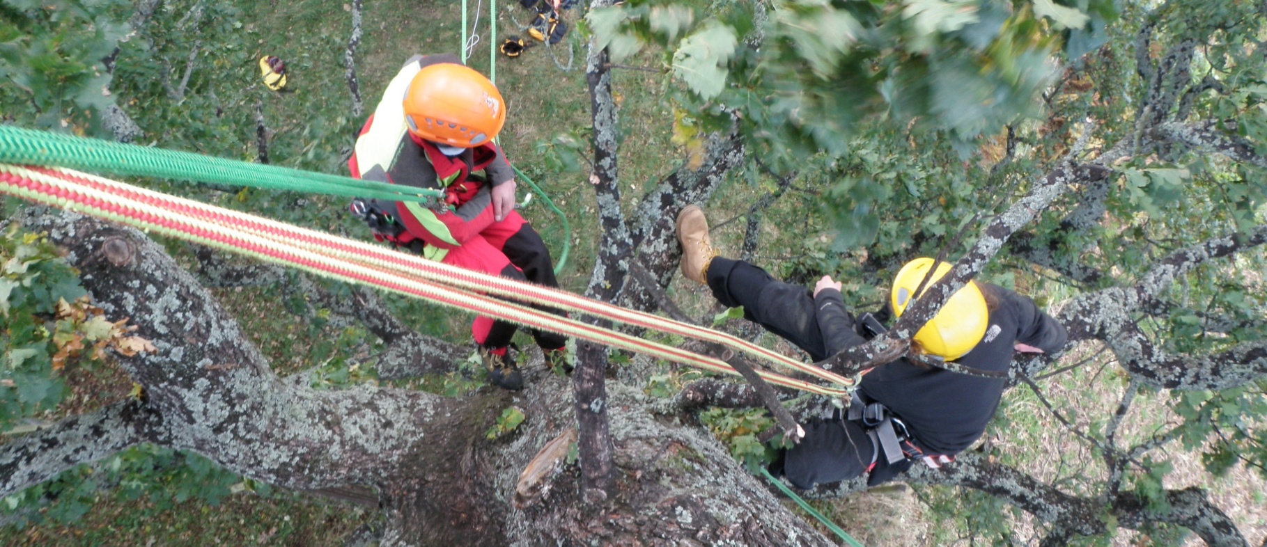 Zkvalitnění výuky modulu Arboristický blokna VOŠ