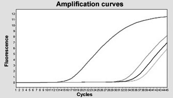 24 (26) 9 Definice parametrů real-time PCR 9 Definice parametrů real-time PCR Real-time PCR Real-time PCR umožňuje uživateli sledovat amplifikaci v každém cyklu.
