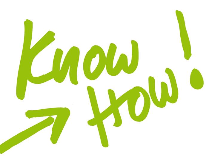 Know-how firmy se