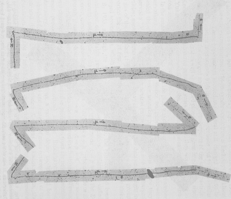 Objev pionu V roce 1951 byl identifikován triplet π-, π+, π0 částice silné interakce mion Rozpadající se pion Dráha mionu je vždy stejně velká Mion