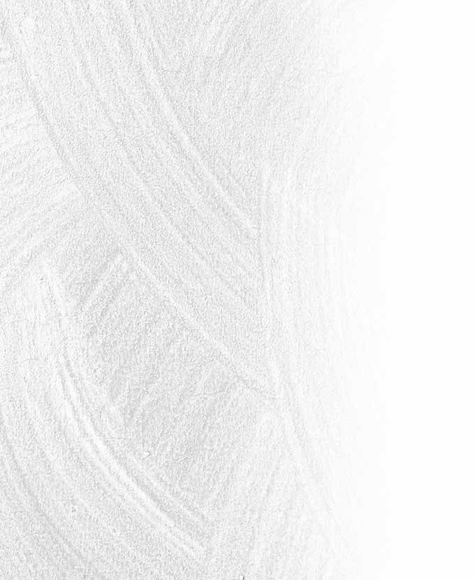 Systém Silancolor Plus Finálna povrchová úprava Silancolor Pittura Plus Finálny náter na báze silikónovej živice vo vodnom roztoku.