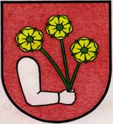 ŠTATÚT OBCE GOLIANOVO Obecné zastupiteľstvo v Golianove na základe zák. SNR č.369/1990 Zb.