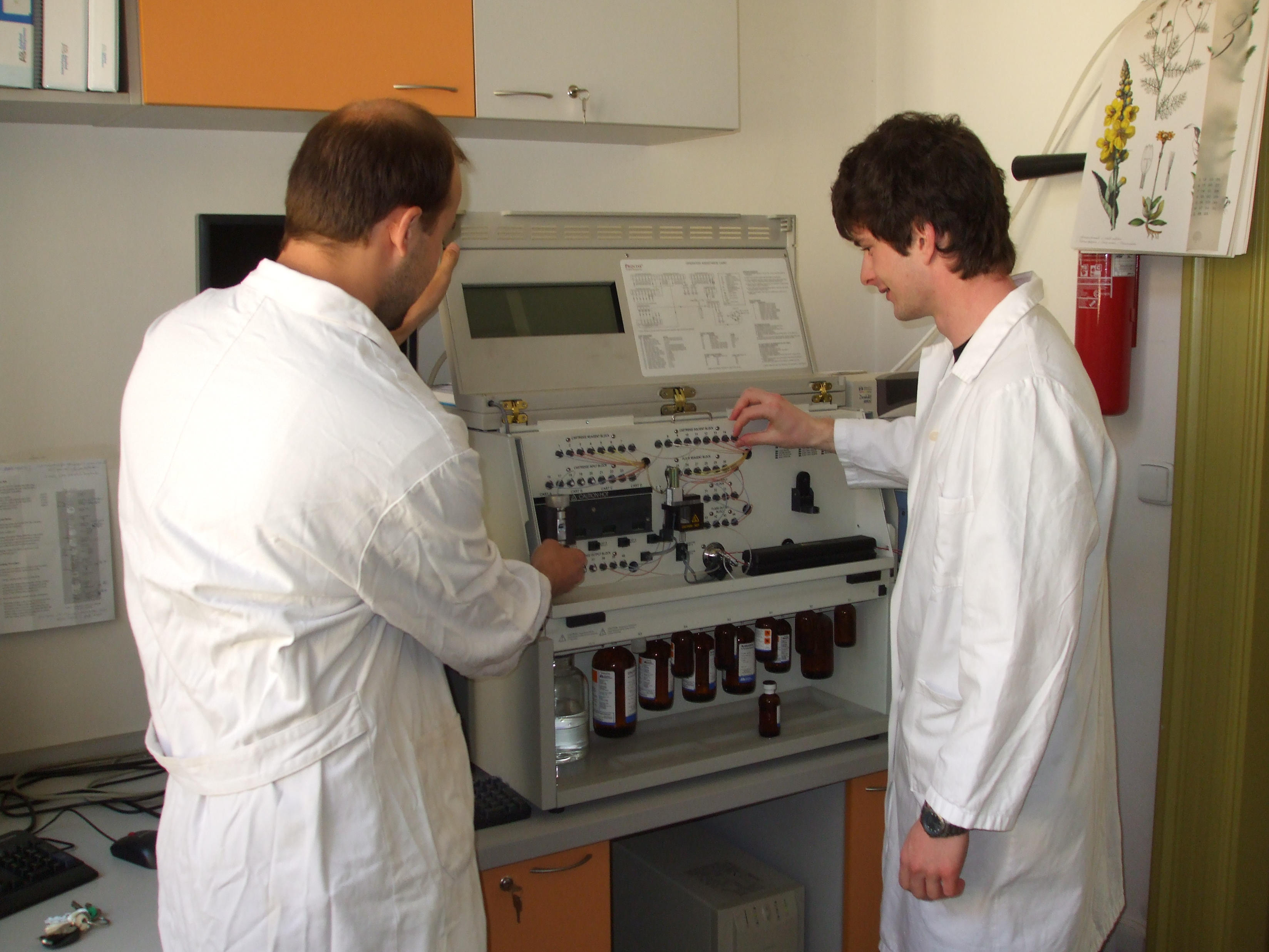 Obr.5. Práce studentů ve specializovaných laboratořích vyžaduje velkého soustředění. Na obrázku ukázka péče o eukaryotické buňky v laboratoři tkáňových kultur. Obr.