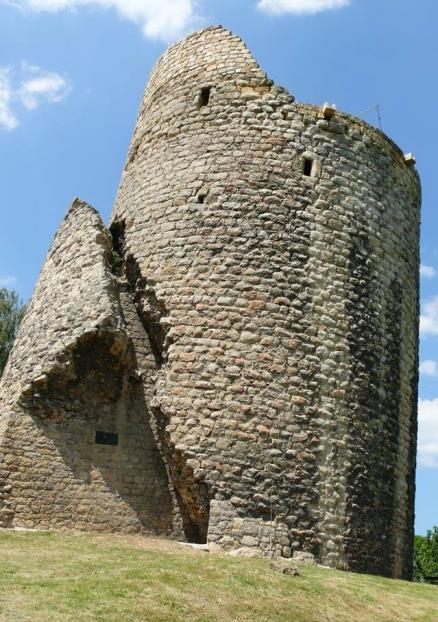 rytířských turnajích, opěvovaný v oslavné básni Ulricha z Freiberga. Zúčastnil se celé řady rytířských turnajů a to nejen doma, na českém území, ale stanul ve šraňcích i v Porýní a ve Francii.