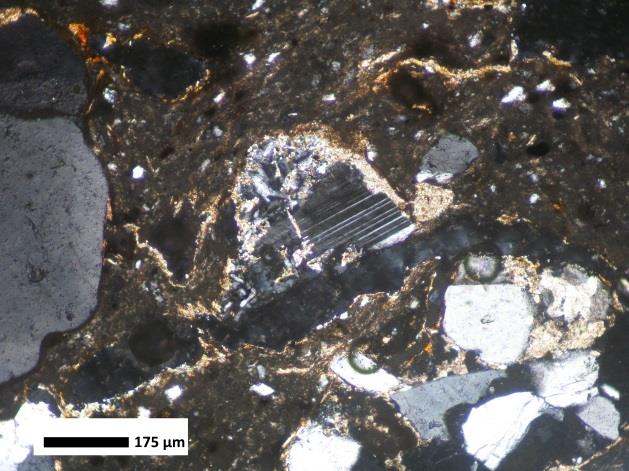 Muskovity tvoří ve vzorku štěpné šupinkovitá i dlouze lístečkovitá zrna o velikosti 75 µm až 0,3 mm. Interferenční barvy muskovitu se pohybují v odstínech od modrozelené po žlutooranžovou II. řádu.