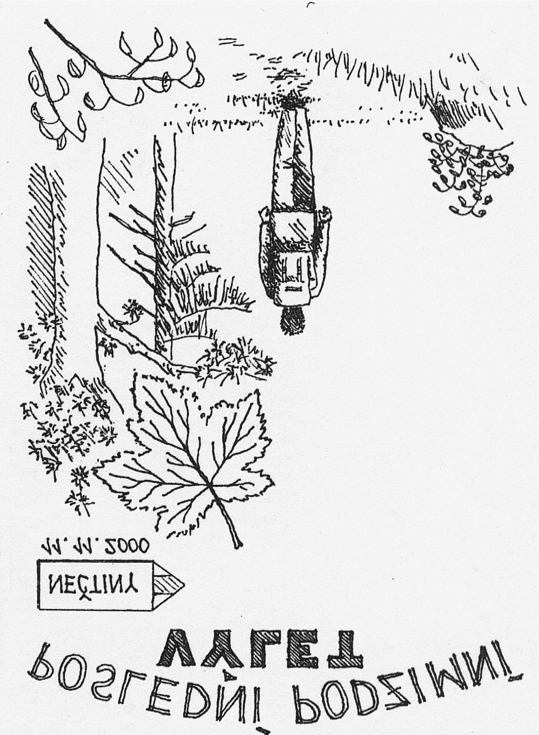 Poslední podzimní výlet 11.11.2000, zapsala Lenka Sraz byl v sobotu v 7.40 na CAN. Chobobotničky měly tentokrát 5 chapadel: Petra, Pavla, Zuzku, Lucku a Ančí.