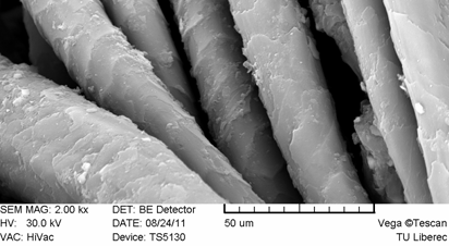 Výzkum a konzervace textilních fragmentů v korozních produktech vz1 M83/99 1013,celulosa Ab s 0,2 1628,amid 1557,amid 1409,celulosa 1321,vlna Infračervená spektroskopie Elektronová mikroskopie Ab s