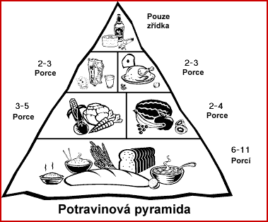 Obr. 2. Doporučená nutriční pyramida (28 mg/kg) a xanthohumol (15 mg/kg).