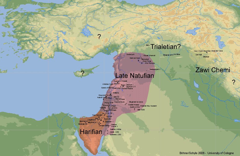 Natufská kultura ( 17 000-10 500 BP) Jedna z Levantských kultur, které se vyvinuly z Geometrické Kebarské kultury.