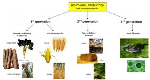 Lakasy Lakasy bakteriální producenti: Bacillus subtilis, E.