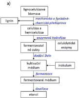 Mikroorganismy produkující ethanol Metody produkce: SHF (separate hydrolysis and fermentation) klasická do média je zaočkováno inokulum a v bioreaktoru proběhne fermentace S. cerevisiae a Z.