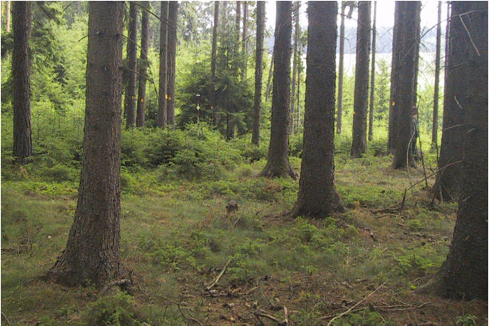 NIL1 NIL2 Ústav pro hospodářskou úpravu lesů Brandýs nad Labem Porovnání zásoby dříví ve formě hroubí b. k. pro území, které celková zásoba: 866 mil.