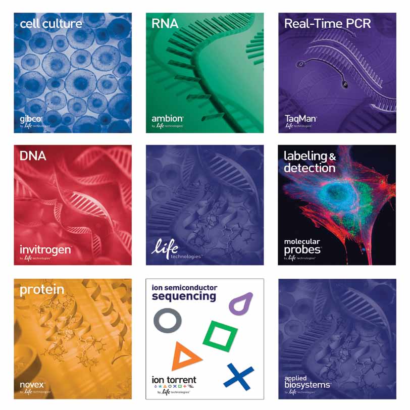 Life Technologies Czech Republic s.r.o. V Celnici 03/4, 0 00 Praha czorders@lifetech.com +40 35 30 459 For research use only. Not intended for any animal or human therapeutic or diagnostic use.