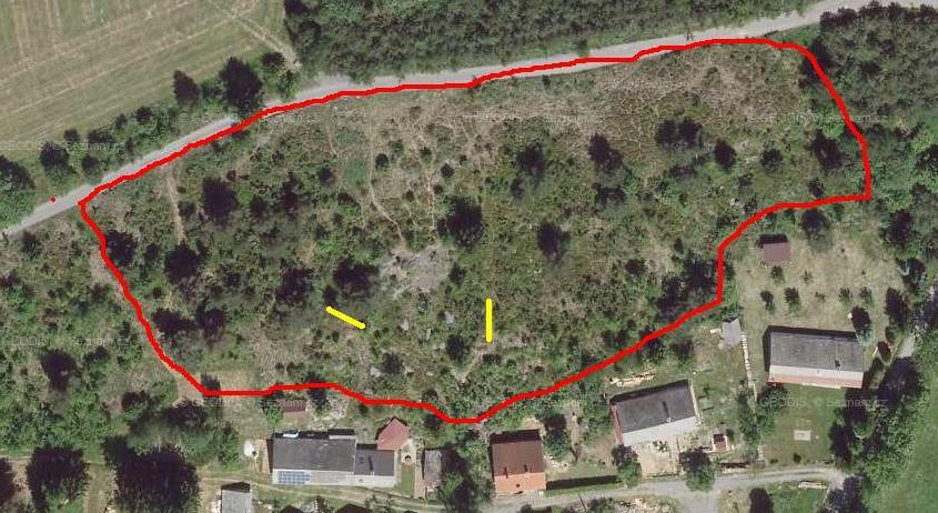 1 Úvod Cílem mé diplomové práce bylo zmapování epigeických a epifytických druhů pavouků na území zdebořického vřesoviště.
