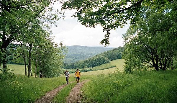 Přírodní rezervací Račí údolí přes Čertovy kazatelny a zříceninu hradu Rychleby 16.4.