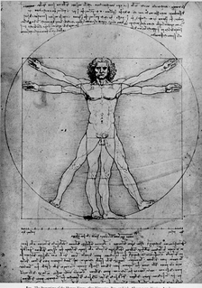 Leonardo