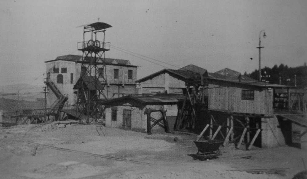 takové nenachází občas ho bylo možno nalézt na poruchových zónách ložiska odkud byl vybírán. Nový rozmach těžby umožnil výstavbu druhé haly úpravny jejíž výstavba započala v roce 1924. Od 6.