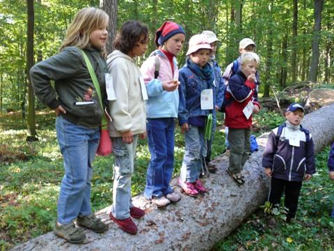 Kompetence komunikativní: Žák formuluje a vyjadřuje své myšlenky a názory v logickém sledu, vyjadřuje se výstižně, souvisle a kultivovaně v písemném i ústním projevu; naslouchá promluvám druhých