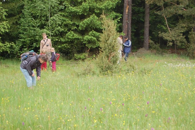 Vlastivědné a přírodovědné exkurze Nabízíme terénní exkurze na Podblanicku pod vedením odborných lektorů. Exkurzi je nutno objednat předem s dostatečným předstihem, minimálně jeden měsíc.