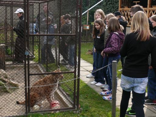 Můžete nám pomoci? (6. 9. třída) Jak se na zahradě vprostřed Vlašimi vzala káňata proč jsou tu zavření krkavci a kdo sem dal tolik ježků?