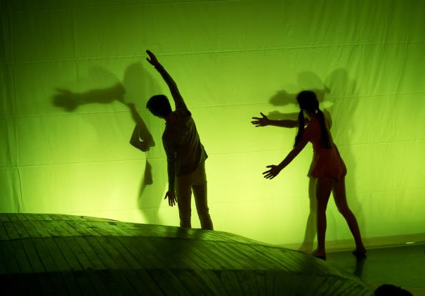 V období září až června 2014/2015 Taneční studio Light uskutečnilo šest představení Putování ve větvích s ekologickým programem pro děti základních škol v Praze Realizace projektu umožnila vytvářet