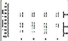 Agriculture (Poľnohospodárstvo), 55, 009 (1): -9 genetic markers allows to compare the electrophoretic patterns of the above mentioned markers of the parental varieties and their hybrids.