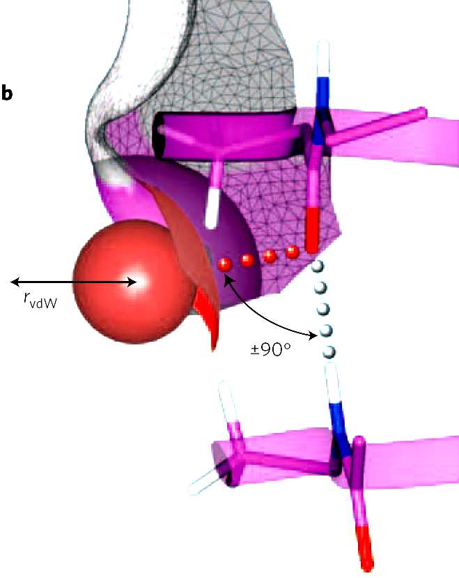 Halogen bonds as orthogonal molecular interactions to hydrogen bonds A. R. Voth, P. Khuu, K. Oishi, P. S. Ho, Nature Chemistry 2009, 1, 74. Accessible surface ( probe 2.2 Å ) Br 2.
