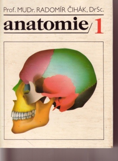 Práce s latinským jazykem v anatomii Lékařská terminologie Anatomické názvosloví Anatomické názvosloví je latinská terminologie pouţívaná celosvětově ve všech medicínských oborech tvoří základ