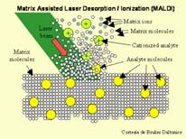 MALDI jako LDI ale v matrici umožňuje strukturní analýzu Analyzátory skenující přístroje s magnetickým sektorem, s kvadrupólem