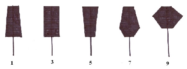 M9 Tvar klasu (Spike shape) Jehlancovitý až hranolovitý klas usnadňuje pronikání slunečního záření do porostu. Hodnotíme v DC 87-92 (žlutá zralost plná zralost) porovnáním dle obrázkového klíče. Tab.
