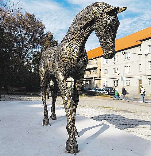 Kladensko arakovnicko 11. listopadu 2016 3 Koněuknihovny Žraloci vhorách, kašna vboleslavi, teď koně Na Sekyře. Rakovník se zařadil mezi města, jejichž prostor zkrášlily Gabrielovy sochy.