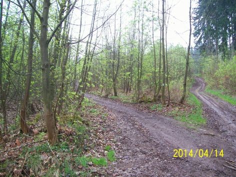 ZNALECKÝ POSUDEK č. 19-4155 O ceně lesního pozemku číslo parcely 546 s lesním porostem v katastrálním území Smrčí u Semil, obec - Záhoří, okr. Semily. Vlastník : CATNES, spol. s r.o., Kunětická 2534/2, 120 00 Praha Objednatel znaleckého posudku: Exekutorský úřad Kladno, č.