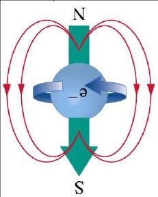 Spin: internal degree of