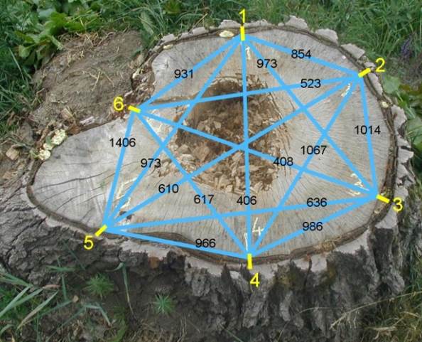 4 Přístrojové hodnocení dřeva kmene akustickým tomografem Fakopp 3D 4.