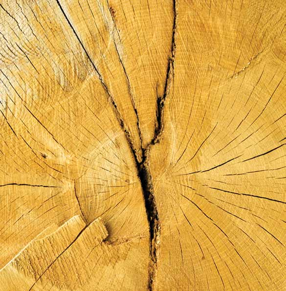 grafický dizajn: 2011 mirochovan Drevárska Fakulta možnosti Štúdia na Drevárskej fakulte TU VO ZVOLENE v akademickom roku 2014/2015 Dekanát Drevárskej