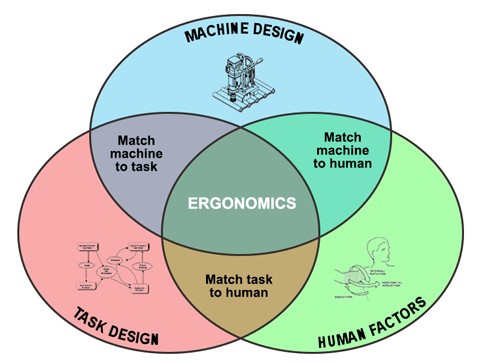 Role ergonomie v