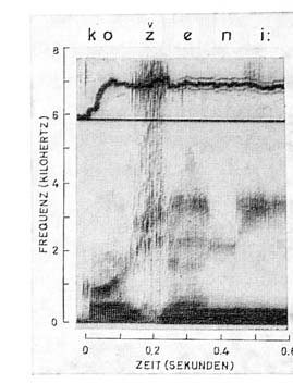 Obr. 1. Sonogram slabiky [řa:] ve slově ['řa:dni:]: (a) nasazení hlasu, (b) nepravidelně strukturovaný šum [ř]. Obr. 2. Sonogram slabiky [ža:] ve slově ['ža:dni:]: (c) nasazení hlasu, (d) šum [ž].