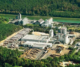 PASSION FOR TIMBER 23 Kundl Roční výrobní kapacita Řezivo / 570.000 m 3 Dřevěné pelety / 150.000 t Bioelektřina / 55 Mio.
