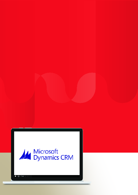 Essox: Upgrade systému Microsoft Dynamics CRM t 1.