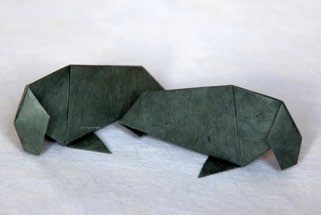 Ondřej Cibulka: Gigantosaurus (str. 34). Matěj Cibulka, Ondřej Cibulka: Tuleň (str. 43). Ondřej Cibulka: Labuť (str. 44). Joseph Wu: Papoušek (str. 54).