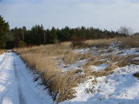 ZNALECKÝ POSUDEK O CENĚ OBVYKLÉ číslo 823/2/2015 NEMOVITÁ VĚC: Pozemky, p.č. 854 v k.ú. Plíškovice, obci Mirovice, zapsaný na LV č.