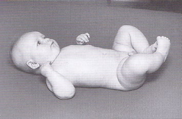 Příloha A: Motorický vývoj dítěte v prvním roce života Novorozenec v poloze na zádech Novorozenec v poloze na břiše Postavení