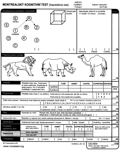 TESTING FORM Obr. Testovací formulář. hodnoty při testování MMSE.