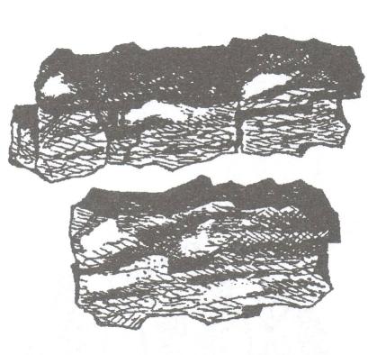 Obr. 1.1. 11 Hrubě prizmatická struktura (převzato Tomášek, 2003) Prizmatická struktura nejčastěji se vyskytuje v nezpevněných sedimentech matečních hornin ve sprašových horizontech.